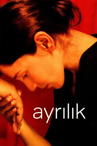 Görsel: TMDB Ayrılık afişi