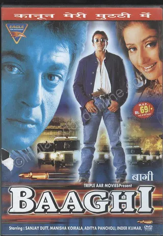 Görsel: TMDB Baaghi afişi