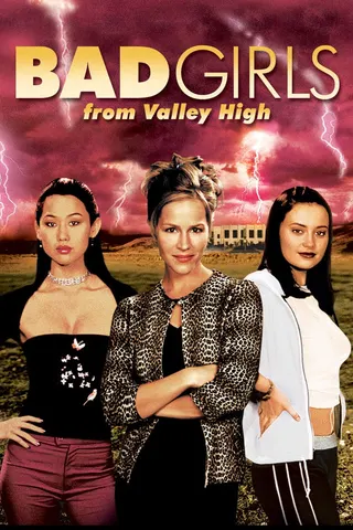 Bad Girls from Valley High afişi