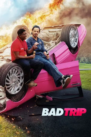 Bad Trip afişi