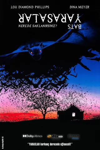 Bats afişi