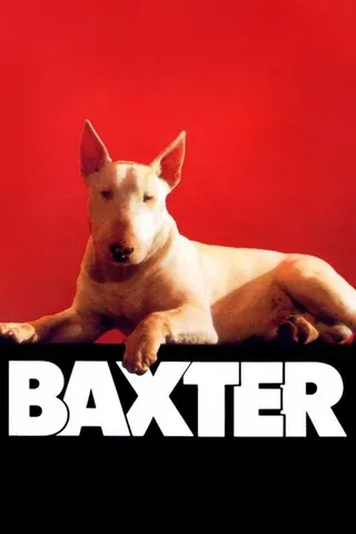 Baxter afişi