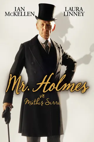 Bay Holmes afişi