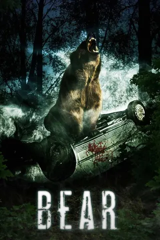 Görsel: TMDB Bear afişi