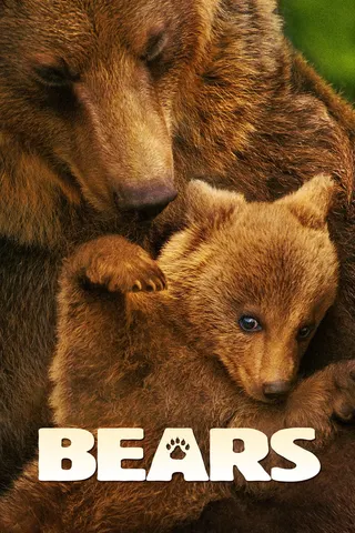 Görsel: TMDB Bears afişi