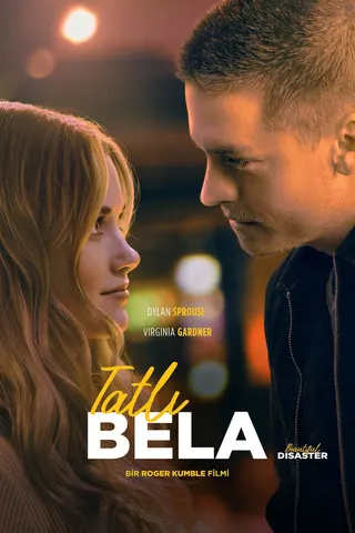 Beautiful Disaster afişi