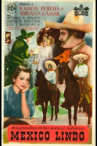 Görsel: TMDB Beautiful Mexico afişi