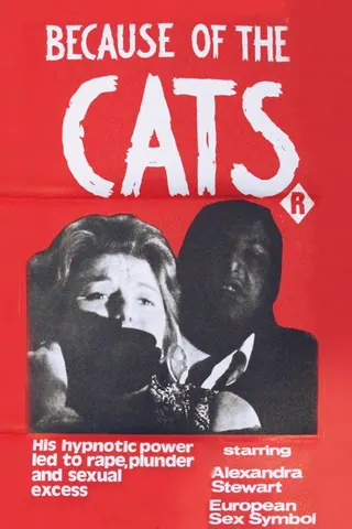 Görsel: TMDB Because of the Cats afişi