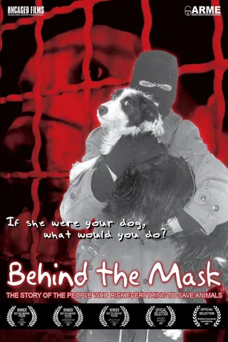 Görsel: TMDB Behind the Mask afişi