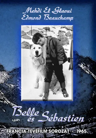 Görsel: TMDB Belle and Sebastian afişi