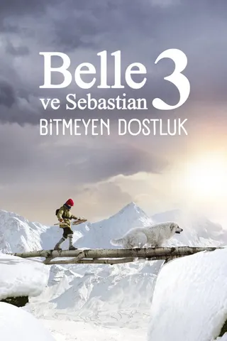 Görsel: TMDB Belle and Sebastian, Friends for Life afişi