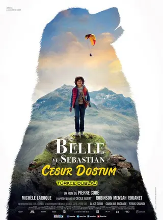 Belle and Sebastian: Next Generation afişi