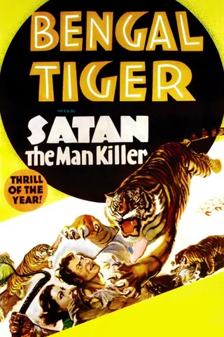 Görsel: TMDB Bengal Tiger afişi