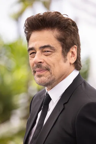 Görsel: Harald Krichel / CC BY-SA Benicio Del Toro