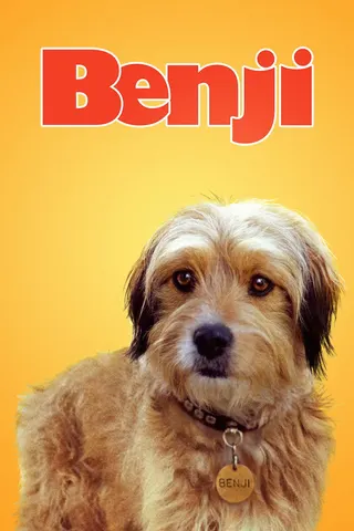 Görsel: TMDB Benji afişi