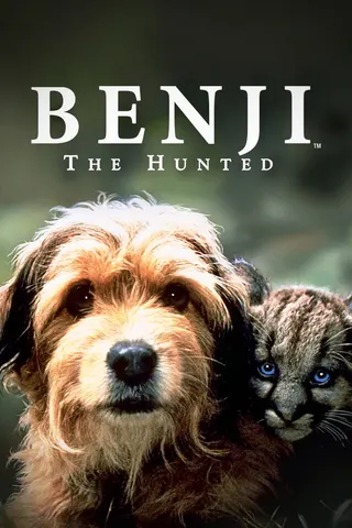 Görsel: TMDB Benji the Hunted afişi