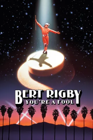 Görsel: TMDB Bert Rigby, You're a Fool afişi