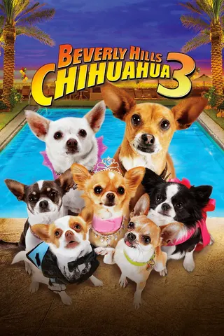 Görsel: TMDB Beverly Hills Chihuahua 3: Viva la Fiesta! afişi
