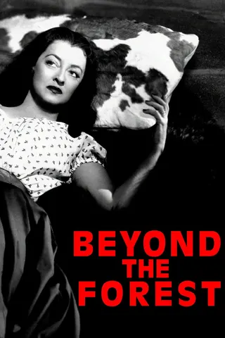 Görsel: TMDB Beyond the Forest afişi