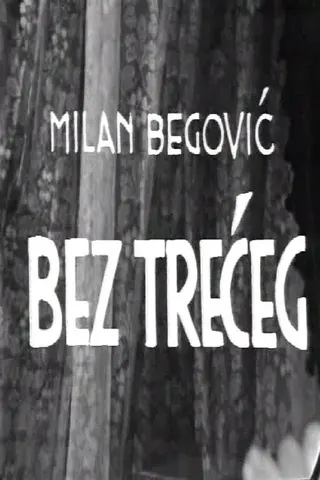 Görsel: TMDB Bez trećeg afişi
