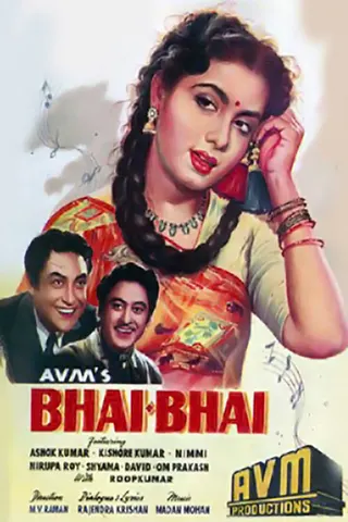 Görsel: TMDB Bhai-Bhai afişi