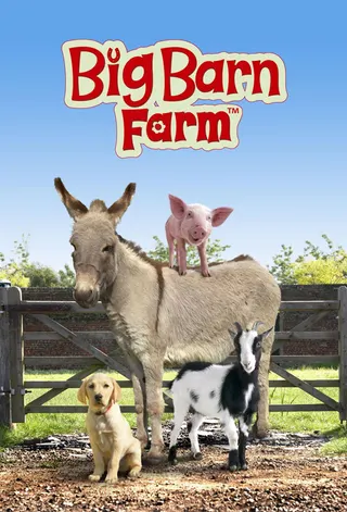 Görsel: TMDB Big Barn Farm afişi