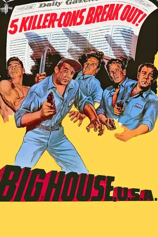 Big House afişi