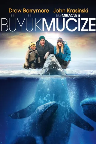 Big Miracle afişi