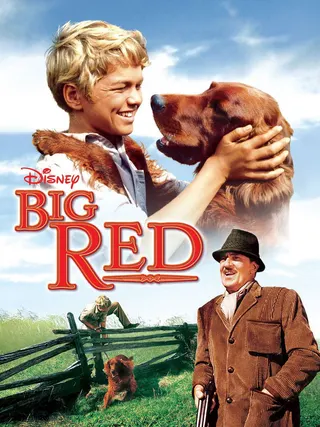 Big Red afişi