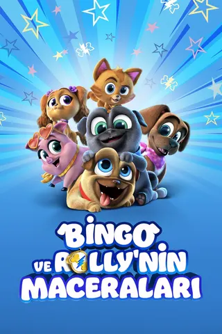 Bingo ve Roli'nin Maceraları afişi