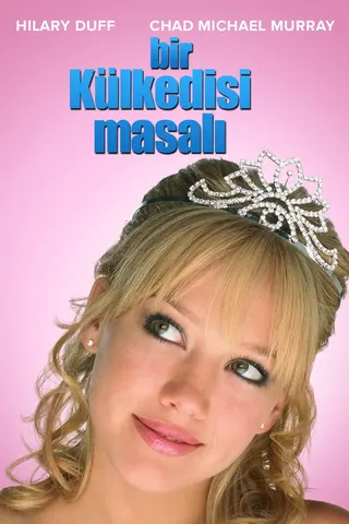 Görsel: TMDB Bir Külkedisi Masalı afişi