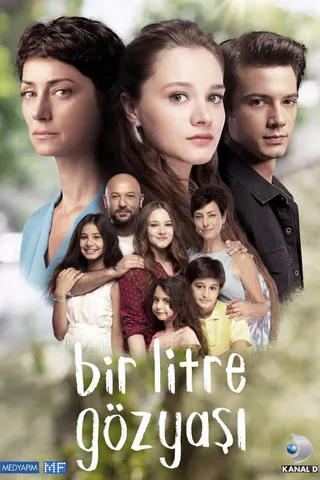 Görsel: TMDB Bir Litre Gözyaşı afişi