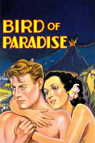 Görsel: TMDB Bird of Paradise afişi