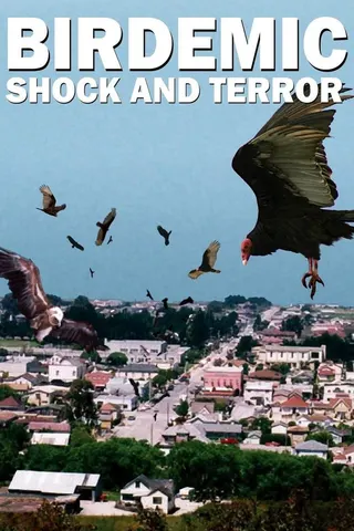 Görsel: TMDB Birdemic: Shock and Terror afişi