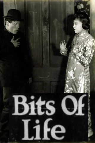 Görsel: TMDB Bits of Life afişi