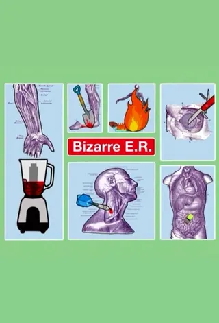 Görsel: TMDB Bizarre ER afişi