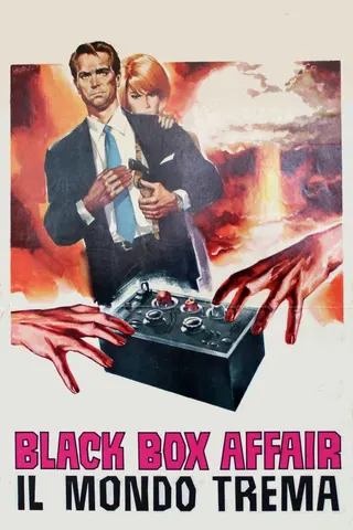 Görsel: TMDB Black Box Affair afişi
