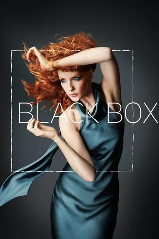Black Box afişi