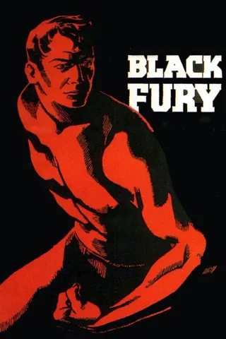 Black Fury afişi