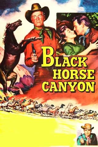 Görsel: TMDB Black Horse Canyon afişi