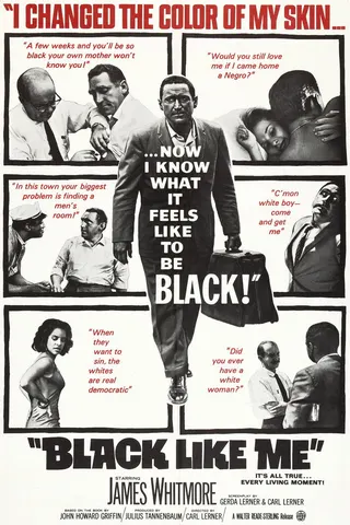 Black Like Me afişi