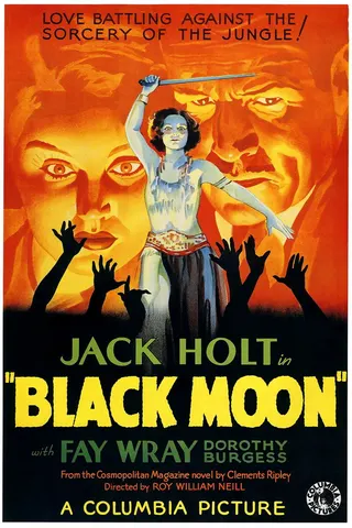 Görsel: TMDB Black Moon afişi
