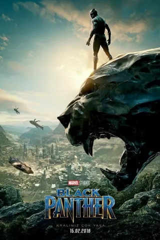 Görsel: TMDB Black Panther afişi