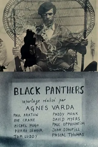 Görsel: TMDB Black Panthers afişi