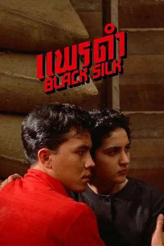 Black Silk afişi