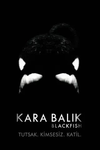Görsel: TMDB Blackfish afişi