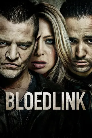 Görsel: TMDB Bloedlink afişi