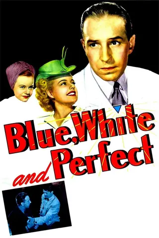 Görsel: TMDB Blue, White and Perfect afişi