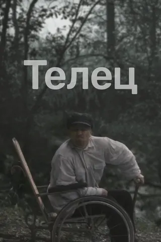 Görsel: TMDB Boğa afişi