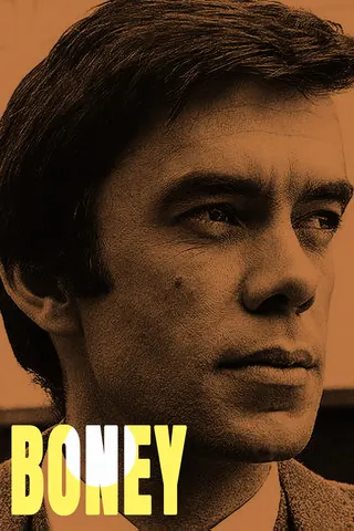 Boney afişi